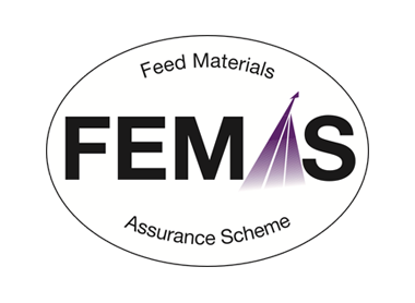 FEMAS logo