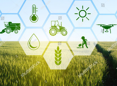 stock-photo-icons-and-field-on-background-concept-of-smart-agriculture-and-modern-technology-700890880.jpg