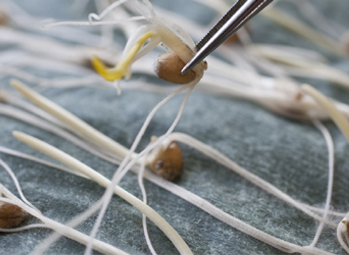 Feed and the Environment